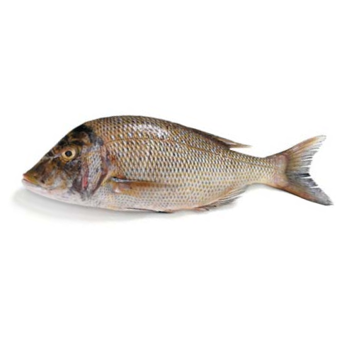Fresh Emperor Fish ( Mulla ) Fish for online Seafood Delivery in Pakistan