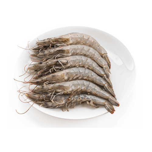 Fresh Jumbo prawns ready for online seafood delivery in pakistan