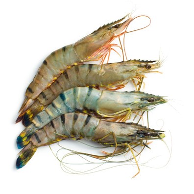 Fresh Tiger Prawn for online delivery in Pakistan