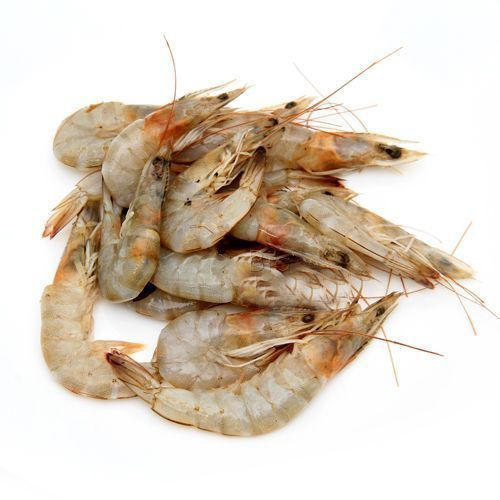 Fresh Small prawns ready for onlinse seafood delivery in pakistan