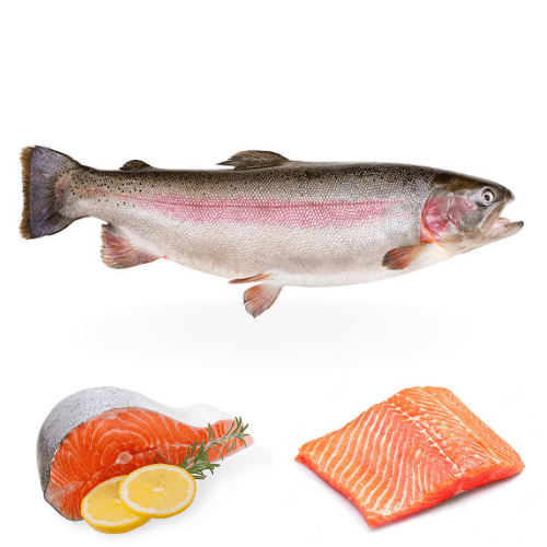Salmon Trout or Steelhead Salmon or Norwegian Fjord Salmon for online delivery in Pakistan