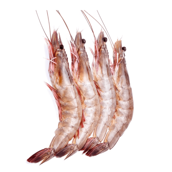 Fresh Jumbo Size prawns for delivery in Karachi, Lahore and Pakistan